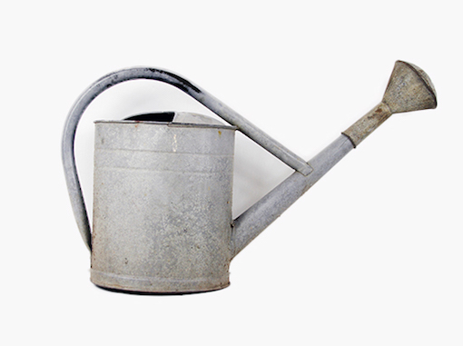 Rustic Watering Can