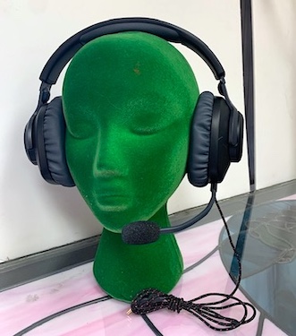 Earphones
