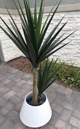 Faux Columnar Brazilian Blue Cactus with Flower
