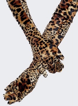 Opera Gloves Leopard Print