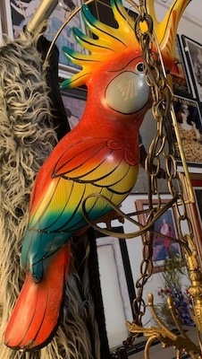 Large Cockatoo/Parrot on Metal Perch