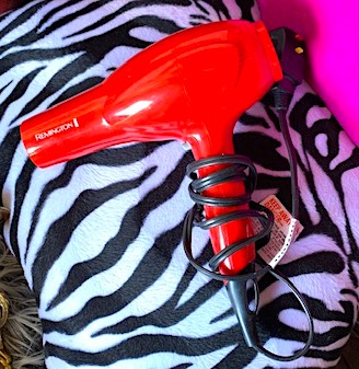 Handheld Hair Dyer