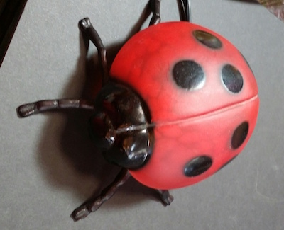 Lady Bug Night Novelty Lamp