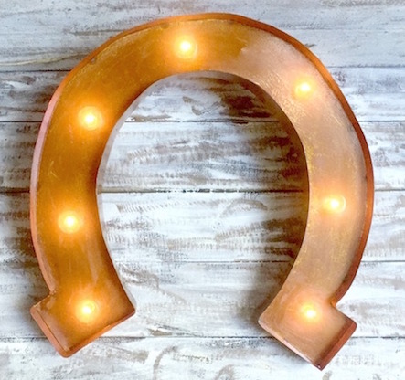 Texas Horseshoe Light Sign