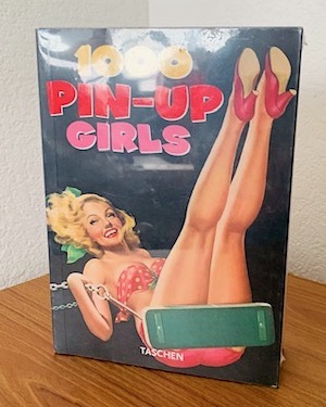 Cigar Box Purse