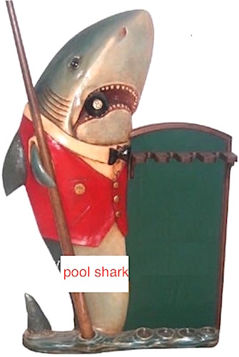 Pool shark Cue Holder Stand