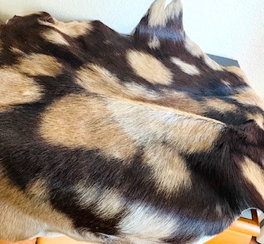 Small Golden Beige & BlackCowhide