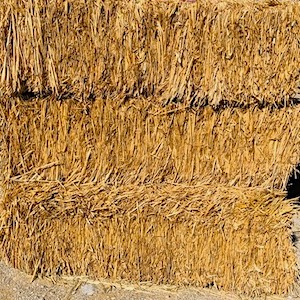 Straw Bale