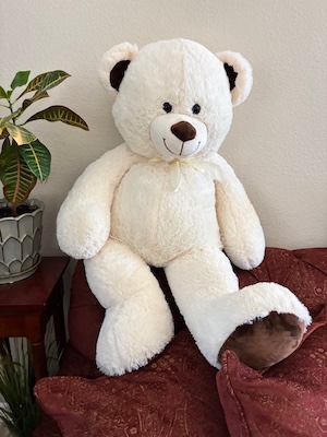 Large White Teddy Bear