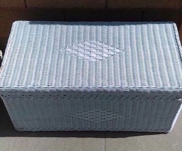 trunk-wicker-wh1